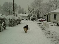 FB IMG 13900798650005787