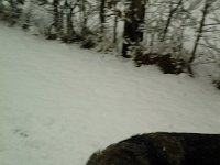 FB IMG 13900798923210378