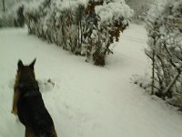 FB IMG 13900799205531192