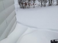 snow1