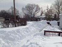 snow3