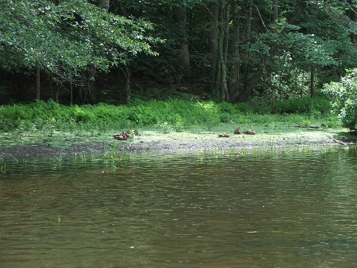 DSCF2324.JPG
