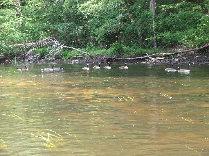 DSCF2325.JPG