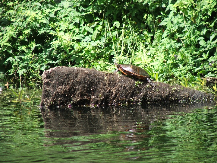 DSCF2332.JPG