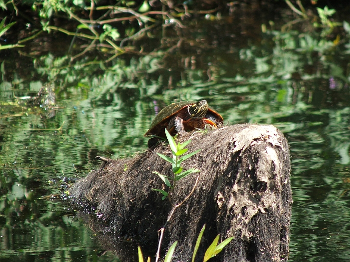 DSCF2338.JPG