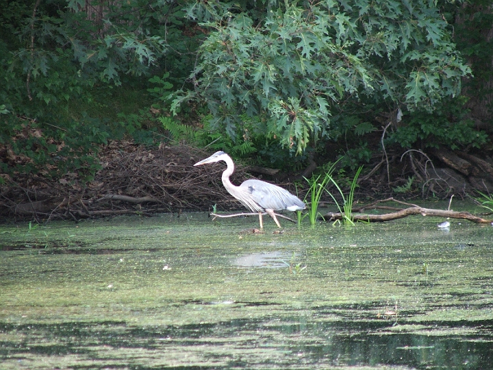 DSCF2347.JPG