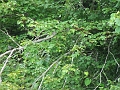 DSCF2321
