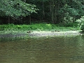 DSCF2324