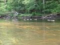 DSCF2325