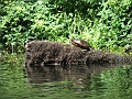 DSCF2332