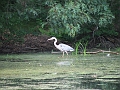 DSCF2347